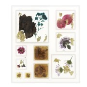 Silicone mold for 10 inclusion resin squares x1