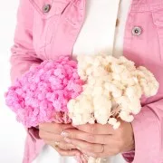 Dried flower for DIY creation - Immortelle du Var Rose x1