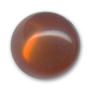 Polaris round bead glossy finish 16 mm Smoked Topaz x1