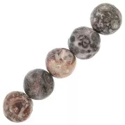 8mm Round gemstones beads- Jasper Leopard x10