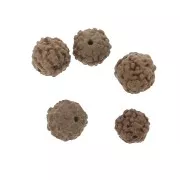 8mm Rudraksha natural seed beads - shiva tears x10