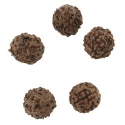 12mm Rudraksha natural seed beads - shiva tears x10|raw }}