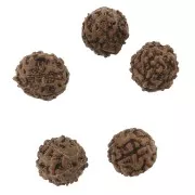 12mm Rudraksha natural seed beads - shiva tears x10