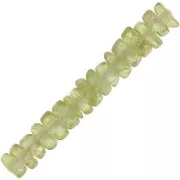 Heishi beads gemstones 4x2 mm - Peridot x20
