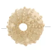 9.5x6.5mm 3-hole Sea urchin bead - Gold plated 3 microns x1