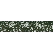 Bias ribbon Liberty Capel green x1m|raw }}