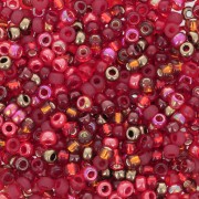 Mix Miyuki Seed beads 11/0 MIX-27 - Magma x8gr|raw }}