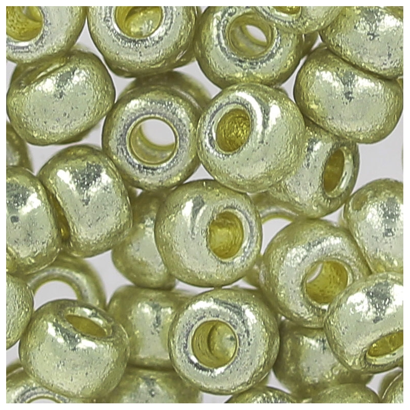 Miyuki Seed beads Duracoat 6/0 4201 Galvanized Silver Perles & Co