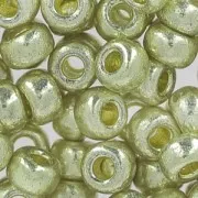 Miyuki Seed beads Duracoat 6/0 4201 - Galvanized Silver