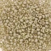 Miyuki Seed beads Duracoat 11/0 4201 - Galvanized Silver