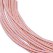 Leather cord 2mm Light Rose x 2m|raw }}