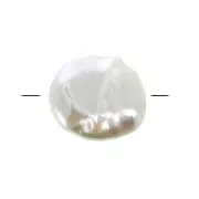 12x13 mm Freshwater Pearl - Oval puck - White x1