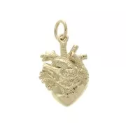18x12mm Anatomic heart charm with closed ring - 3 micron Gold Plated x1