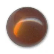 Polaris round bead glossy finish 20 mm Brown x1