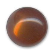 Polaris round bead glossy finish 12 mm Brown x1|raw }}
