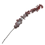 Eucalyptus baby blue Red - Dried flower for DIY creations x1 stalk