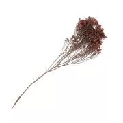 Dried pink gypsophila flower for DIY creations x1 stalk