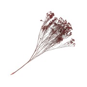 Dried red gypsophila flower for DIY creations x1 stalk|raw }}