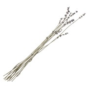 Lavender -  dried flower for floral arrangement x10 stalks|raw }}