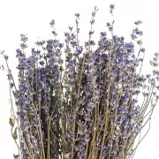 Lavender - dried flower for floral arrangement x10 stalks