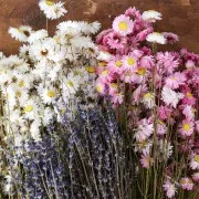 Lavender - dried flower for floral arrangement x10 stalks
