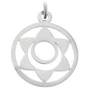 22x19mm Stainless Steel Round pendant - medal - 2nd Chakra - Holy x1