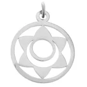 22x19mm Stainless Steel Round pendant - medal - 2nd Chakra - Holy x1
