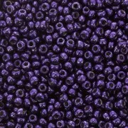Miyuki Seed beads Duracoat 11/0 5109 - Galvanized Dark Lilac x8g