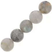 Beads Labradorite  8mm x10