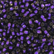 Miyuki Delica 11/0 DB0609 - Dark Purple Dyed Silver Lined  x8g