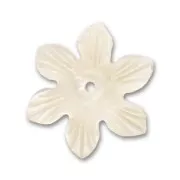 Mother-of-Pearl Flower 19mm Natural x1