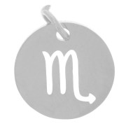 Round Charm - Scorpio Zodiac Sign, 12 mm - 304 Stainless Steel x1