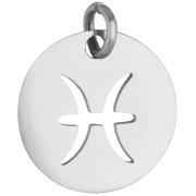 Round Charm - Pisces Zodiac Sign, 12 mm - 304 Stainless Steel x1
