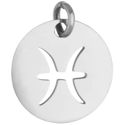 Round Charm - Pisces Zodiac Sign, 12 mm - 304 Stainless Steel x1