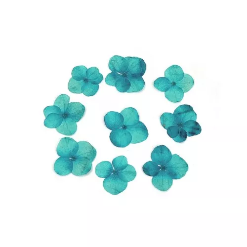 Board of dried and pressed hydrangea flowers for the DIY creation - Blue x1