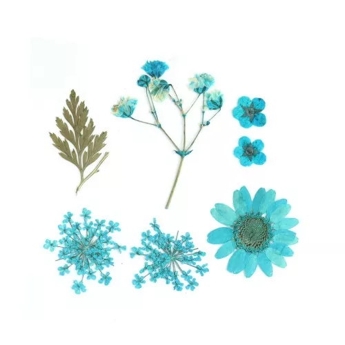 Assortment of dried and pressed flowers on board for DIY creation - Blue x1