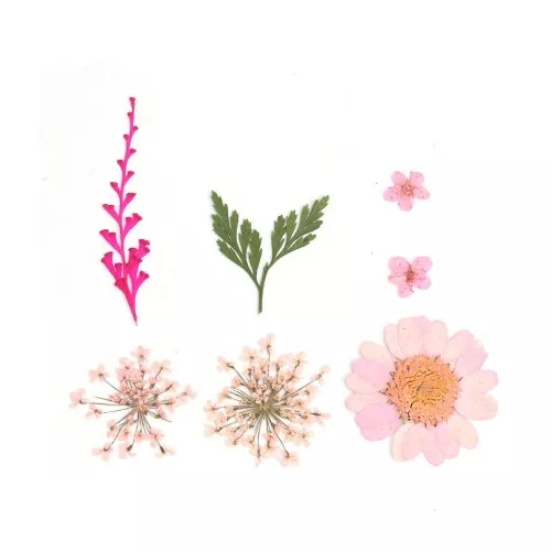 Assortment of dried and pressed flowers on board for DIY creation - Pink x1