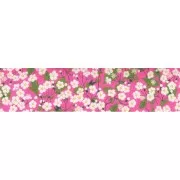 Bias ribbon Liberty Mitsi Pivoine x1m