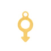 12x6mm Stainless Steel male symbol Charm - Gold Tone x1|raw }}