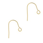 14mm 304 Stainless Steel earwires with open ring - Gold Tone x2