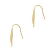 Design ear hooks 20x4.5 mm closed ring Stainless steel 303L Gold x2|raw }}