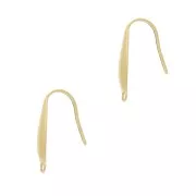 Design ear hooks 20x4.5 mm closed ring Stainless steel 303L Gold x2