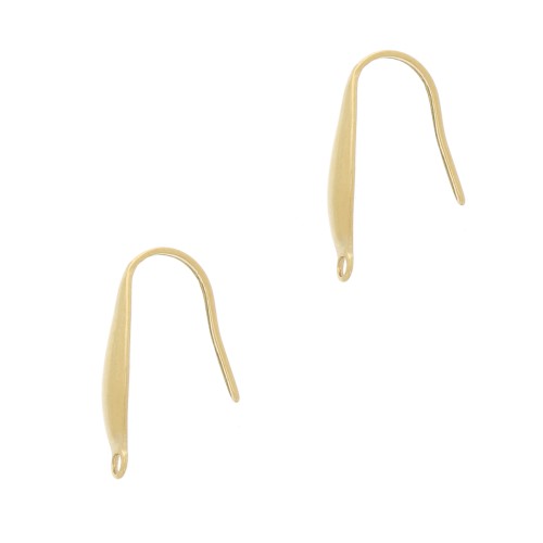 Design ear hooks 20x4.5 mm closed ring Stainless steel 303L Gold x2
