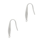 19x4.5mm Stainless steel Design earwires with closed ring x2