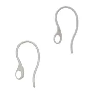 19mm Stainless Steel Design earwires with hole x2
