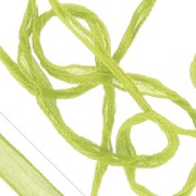 Silk ribbon Aniseed x1m|raw }}