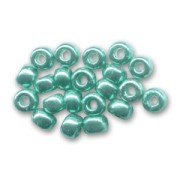 Seed beads Miyuki Duracoat 11/0 4217 - Galvanized Dark Sea Foam x8g