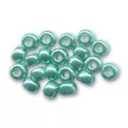 Seed beads Miyuki Duracoat 11/0 4217 - Galvanized Dark Sea Foam x8g