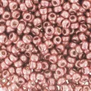 Miyuki Seed beads Duracoat 11/0 4209 - Galvanized Dark Coral