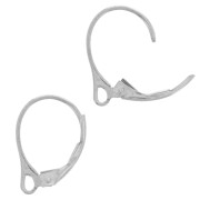 15x10mm 925 Sterling Silver leverback earrings with open ring x2|raw }}